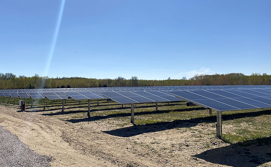 Nuevas plantas preparadas para la conexión
